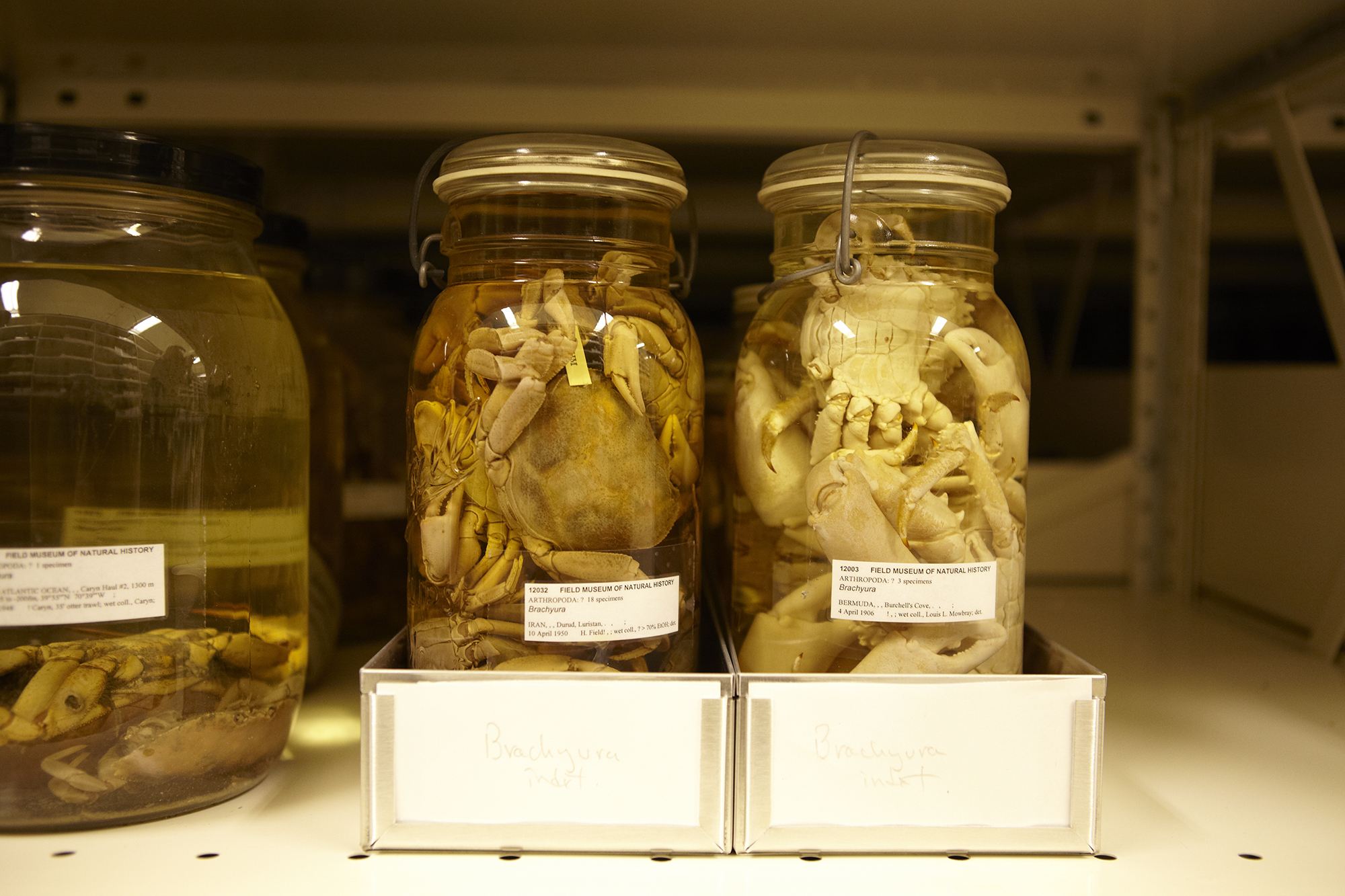 To Field Museum of Natural History